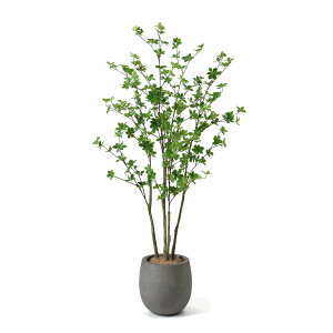 yzhE_ccW GbO|bg H160cm ϗtA tFCNO[ yʑqɒiz | GREENPARK lHϗtA   A C~e[V CeAO[ A[gO[ 