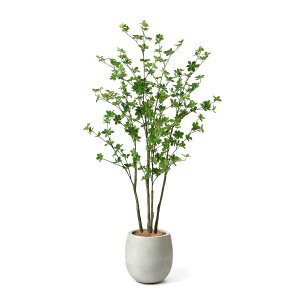 yzhE_ccW GbO|bg H160cm ϗtA tFCNO[ yʑqɒiz | GREENPARK lHϗtA   A C~e[V CeAO[ A[gO[ 