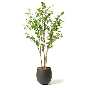 yzhE_ccW GbO|bg H160cm ϗtA tFCNO[ yʑqɒiz | GREENPARK lHϗtA   A C~e[V CeAO[ A[gO[ 