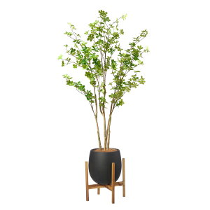 yzhE_ccW GbO|bgrt H175cm O[ ϗtA tFCNO[ yʑqɒiz | GREENPARK lHϗtA   A C~e[V CeAO[ A[