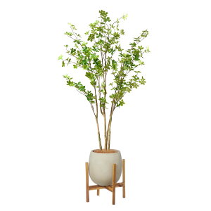 yzhE_ccW GbO|bgrt H175cm O[ ϗtA tFCNO[ yʑqɒiz | GREENPARK lHϗtA   A C~e[V CeAO[ A[