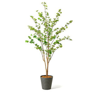 yzhE_ccW GWv^[ H195cm ϗtA tFCNO[ yʑqɒiz | GREENPARK lHϗtA   A C~e[V CeAO[ A[gO[ 