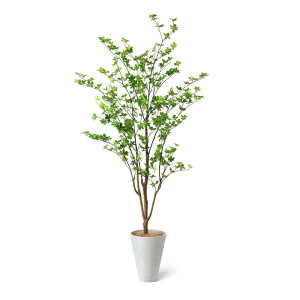 yzhE_ccW GWv^[ H195cm ϗtA tFCNO[ yʑqɒiz | GREENPARK lHϗtA   A C~e[V CeAO[ A[gO[ 