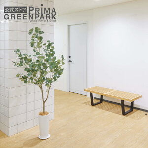 y|CgUPzyz[J Xv^[ H172cm ϗtA tFCNO[| GREENPARK lHϗtA   A C~e[V CeAO[ A[gO[ Mtg