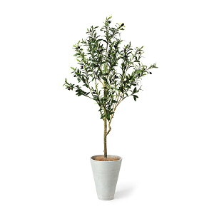 yzI[u GWv^[ H160cm ϗtA tFCNO[ yʑqɒiz | GREENPARK lHϗtA   A C~e[V CeAO[ A[gO[ Mtg 