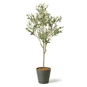 yzI[u GWv^[ H160cm ϗtA tFCNO[ yʑqɒiz | GREENPARK lHϗtA   A C~e[V CeAO[ A[gO[ Mtg 