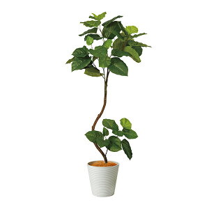 yzcCXgEx[^ GWv^[ H164cm ϗtA tFCNO[ eco yʑqɒiz | GREENPARK lHϗtA   A C~e[V CeAO[ A[g