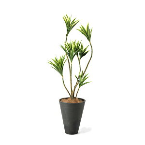 yzhZi GWv^[ H128cm ϗtA tFCNO[ eco yʑqɒiz | GREENPARK lHϗtA   A C~e[V CeAO[ A[gO[ Mt