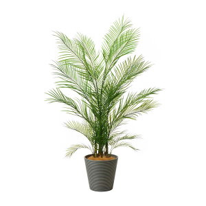 y|CgUPzyzAJV GWv^[ H160cm ϗtA tFCNO[ yʑqɒiz | GREENPARK lHϗtA   A C~e[V CeAO[ A[g