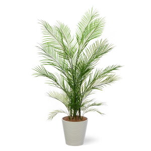 yzAJV GWv^[ H160cm ϗtA tFCNO[ yʑqɒiz | GREENPARK lHϗtA   A C~e[V CeAO[ A[gO[ Mt