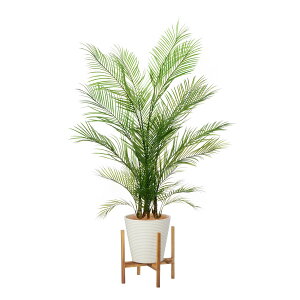 yzAJV GWv^[rt H175cm ϗtA tFCNO[ yʑqɒiz | GREENPARK lHϗtA   A C~e[V CeAO[ A[gO[ 