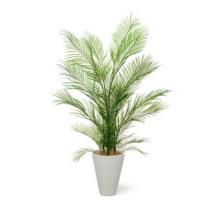 y|CgUPzyzAJV GWv^[ H160cm ϗtA tFCNO[ yʑqɒiz | GREENPARK lHϗtA   A C~e[V CeAO[ A[g