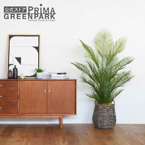 yzAJV A|bg H150cm ϗtA tFCNO[ yʑqɒiz | GREENPARK lHϗtA   A C~e[V CeAO[ A[gO[ M