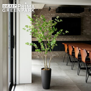 yzhE_ccW TPv^[ H170cm ϗtA tFCNO[ yʑqɒiz | GREENPARK lHϗtA   A C~e[V CeAO[ A[gO[ 