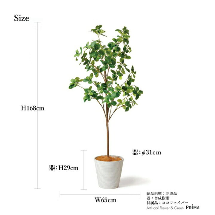 楽天市場】【20％OFF】マグノリア GWプランター H168cm ボーダー 