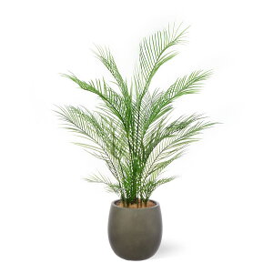 yzAJV GbO|bg H130cm ϗtA tFCNO[ yʑqɒiz | GREENPARK lHϗtA   A C~e[V CeAO[ A[gO[ Mt