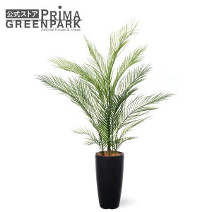 yzAJV TPv^[ H145cm ϗtA tFCNO[ yʑqɒiz | GREENPARK lHϗtA   A C~e[V CeAO[ A[gO[ Mt