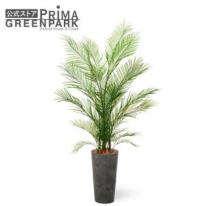 yzAJV Eh|bg H172cm ϗtA tFCNO[ yʑqɒiz | GREENPARK lHϗtA   A C~e[V CeAO[ A[gO[ M