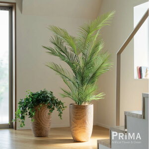 yzAJV Ebhv^[ H175cm ϗtA tFCNO[ yʑqɒiz | GREENPARK lHϗtA   A C~e[V CeAO[ A[gO[ 