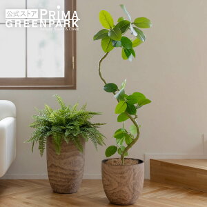 y|CgUPzyztBJXAeV} Ebh|bg H138cm ϗtA tFCNO[ eco yʑqɒiz | GREENPARK lHϗtA   A C~e[V CeAO