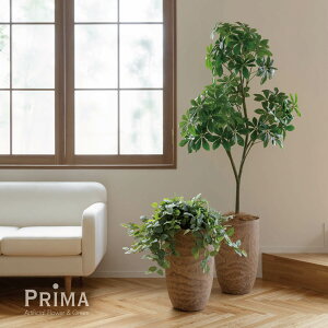 yzVFt Ebhv^[ H170cm ϗtA tFCNO[ eco yʑqɒiz | GREENPARK lHϗtA   A C~e[V CeAO[ A[gO[