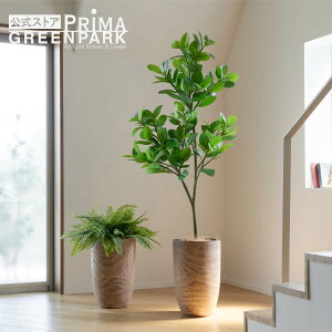 yztBJX\tBA Ebhv^[ H170cm ϗtA tFCNO[ eco yʑqɒiz | GREENPARK lHϗtA   A C~e[V CeAO[ A[g