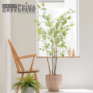 yzhE_ccW Ebh|bg H160cm ϗtA tFCNO[ yʑqɒiz | GREENPARK lHϗtA   A C~e[V CeAO[ A[gO[ 