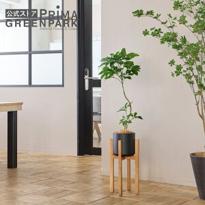 yzVFtS EbhX^h H135cm ϗtA tFCNO[ eco | GREENPARK lHϗtA   A C~e[V CeAO[ A[gO[ Mtg v[