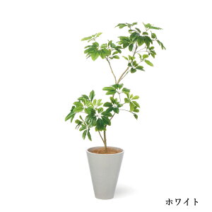 y|CgUPzyzVFtM GWv^[ H135cm ϗtA tFCNO[ eco yʑqɒiz | GREENPARK lHϗtA   A C~e[V CeAO[ A