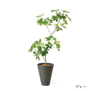 yzVFtM GWv^[ H135cm ϗtA tFCNO[ eco yʑqɒiz | GREENPARK lHϗtA   A C~e[V CeAO[ A[gO[ 