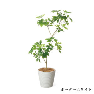 yzVFtM GWv^[ H135cm ϗtA tFCNO[ eco yʑqɒiz | GREENPARK lHϗtA   A C~e[V CeAO[ A[gO[ 