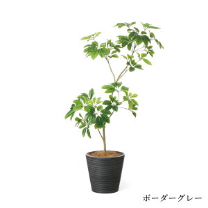 yzVFtM GWv^[ H135cm ϗtA tFCNO[ eco yʑqɒiz | GREENPARK lHϗtA   A C~e[V CeAO[ A[gO[ 