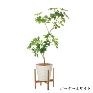 yzVFtM GWv^[rt H150cm ϗtA tFCNO[ eco yʑqɒiz | GREENPARK lHϗtA   A C~e[V CeAO[ A[gO[