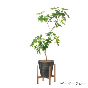 y|CgUPzyzVFtM GWv^[rt H150cm ϗtA tFCNO[ eco yʑqɒiz | GREENPARK lHϗtA   A C~e[V CeAO[