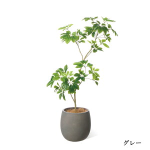 yzVFtM GbO|bg H130cm ϗtA tFCNO[ eco yʑqɒiz | GREENPARK lHϗtA   A C~e[V CeAO[ A[gO[ 