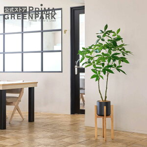 y|CgUPzyzpL EbhX^h H155cm ϗtA tFCNO[ | GREENPARK lHϗtA   A C~e[V CeAO[ A[gO[ Mtg v