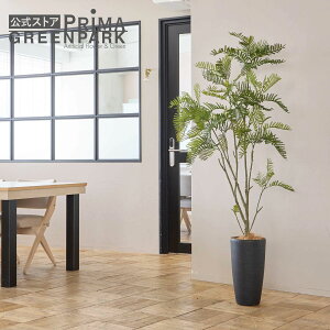 y|CgUPzyzGo[tbV TPv^[ H175cm yʑqɒiz | GREENPARK lHϗtA   A C~e[V CeAO[ A[gO[