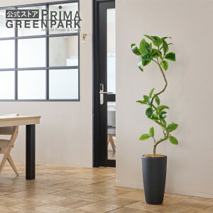 yztBJXAeV}  TPv^[ H150cm ϗtA tFCNO[ eco yʑqɒiz | GREENPARK lHϗtA   A C~e[V CeAO[ A