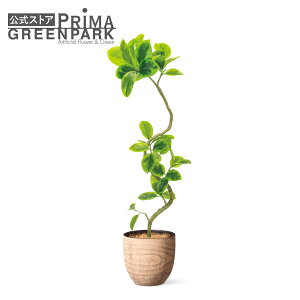 y|CgUPzyztBJXAeV}  Ebh|bg H138cm ϗtA tFCNO[ eco yʑqɒiz | GREENPARK lHϗtA   A C~e[V Ce