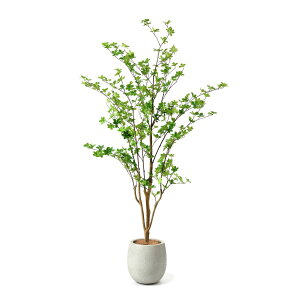 y|CgUPzyzhE_ccW GbO|bg H190cm ϗtA tFCNO[ yʑqɒiz | GREENPARK lHϗtA   A C~e[V CeAO[ 