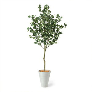 yz[J GWv^[ H190cm ϗtA tFCNO[ yʑqɒiz | GREENPARK lHϗtA   A C~e[V CeAO[ A[gO[ Mtg 