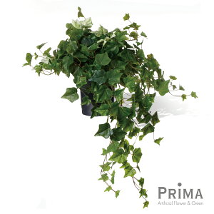 yzACr[ Ci[|bg 5 ϗtA tFCNO[ | GREENPARK tFCNO[ CeA  A C~e[V CeAO[ A[gO[ v[g