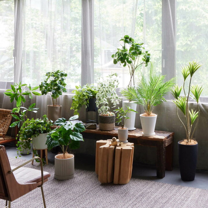 楽天市場】マグノリア インナーポット 5号 観葉植物 フェイクグリーン 