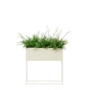 yzAWA^ KoS W60cm p[e[VO[ v^[ yʑqɒiz| GREENPARK lHϗtA   A C~e[V CeAO[ A[gO[ 