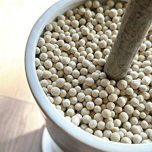 y|CgUPzyzXg`A Xv^[ H155cm ϗtA tFCNO[yoׁz | GREENPARK lHϗtA   A C~e[V CeAO[ A[