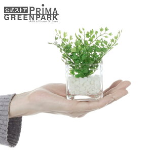 yzAWA^ EH[^[L[u ϗtA tFCNO[ | GREENPARK lHϗtA   A C~e[V CeAO[ A[gO[ Mtg v[g