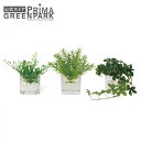 【公式】ウォーターキューブ 3個セット A 観葉植物 フェイクグリーン | GREENPARK 人工観葉植物 造花 おしゃれ リアル イミテーション インテリアグリーン アートグリーン ギフト プレゼント お祝い