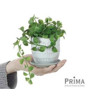 yzfBXLfBA nsv^[ ϗtA tFCNO[ | GREENPARK lHϗtA   A C~e[V CeAO[ A[gO[ Mtg v[g 