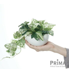 アイビー 白陶器S 観葉植物 フェイクグリーン eco | GREENPARK 人工観葉植物 造花 おしゃれ リアル イミテーション インテリアグリーン アートグリーン ギフト プレゼント お祝い