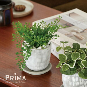 yzAWA^ nsv^[ ϗtA tFCNO[ | GREENPARK lHϗtA   A C~e[V CeAO[ A[gO[ Mtg v[g j